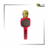 اسپیکر میکروفونی چراغ‌دارمدل WS-1816 - Image 3